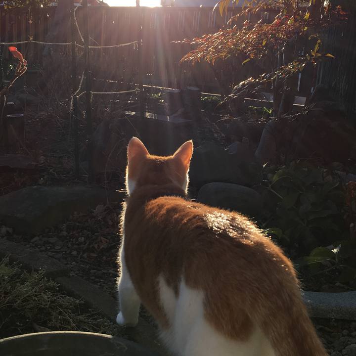 1c85e9e5 6989 4297 9f54 99a77881197a