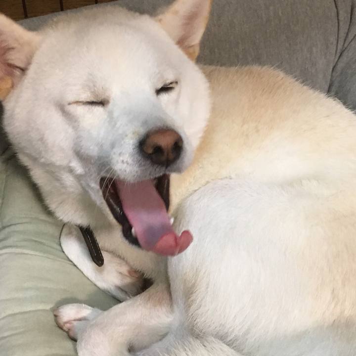 1c860d1c 75de 4e48 a91c b3a4d4b6a35d