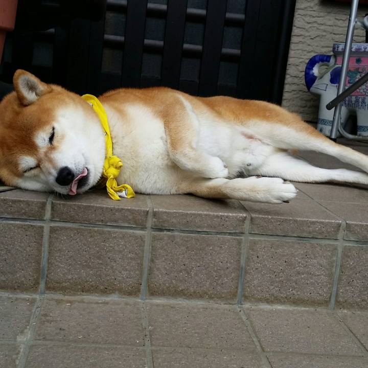 1c867767 53e8 4f88 aefc e6b3b1a5f064