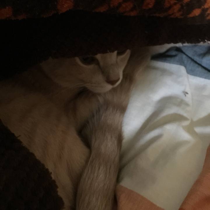 1c86b93e 0267 4567 9f29 826e9269533f