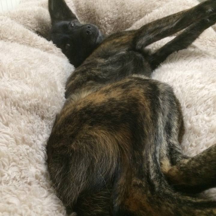 1c86c457 3a05 404c b932 f3dd4d0d339e