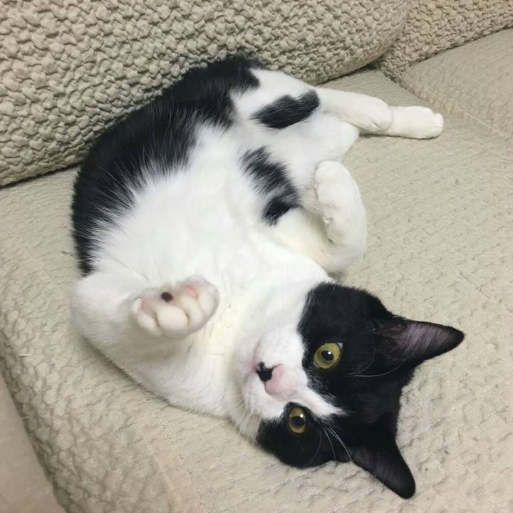 1c872502 e9a0 436c 8950 e532bcfce2a5