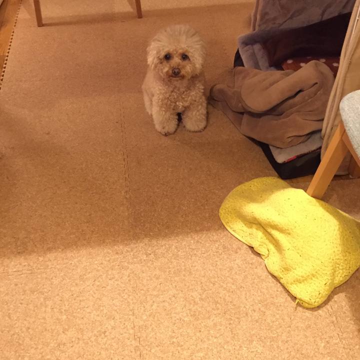 1c87a68d 3d44 4553 a56e a3962dae15cd