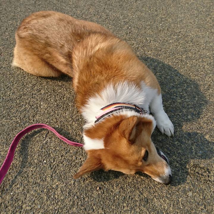 1c880220 ce13 4b40 be3c a0651a12e530