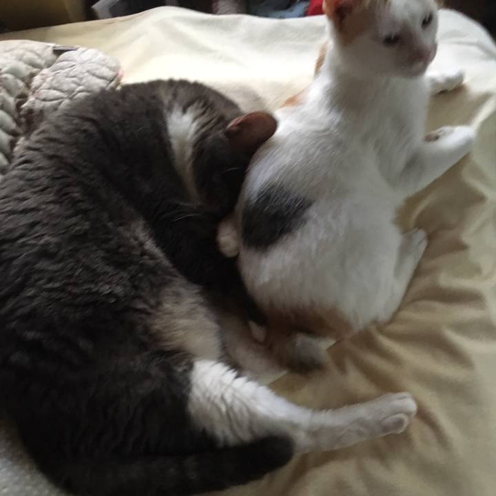 1c8847c8 80b8 4aa5 b191 83b4c4210dec