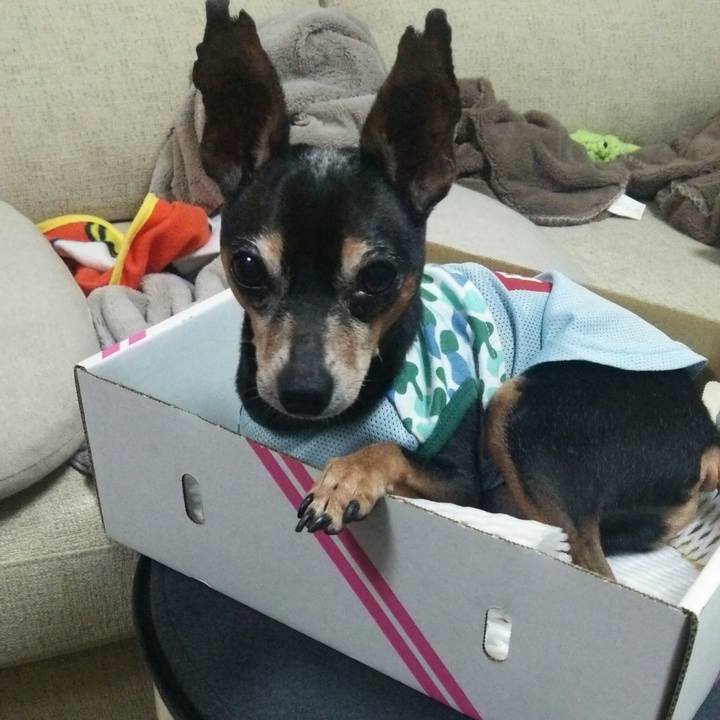 1c890adc e702 4fe5 9bf4 9d05a60d6d86