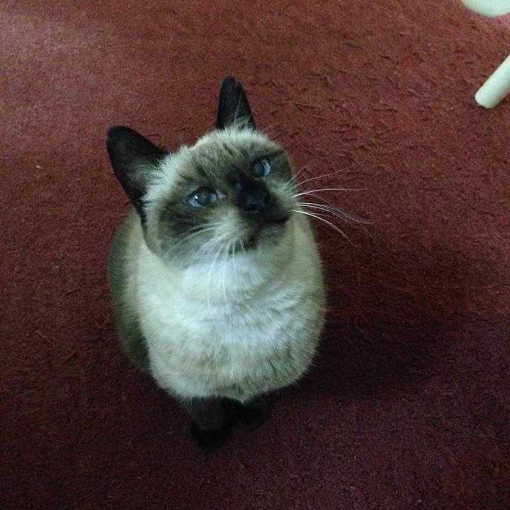 1c898342 77da 4273 a993 db28fabf89a1