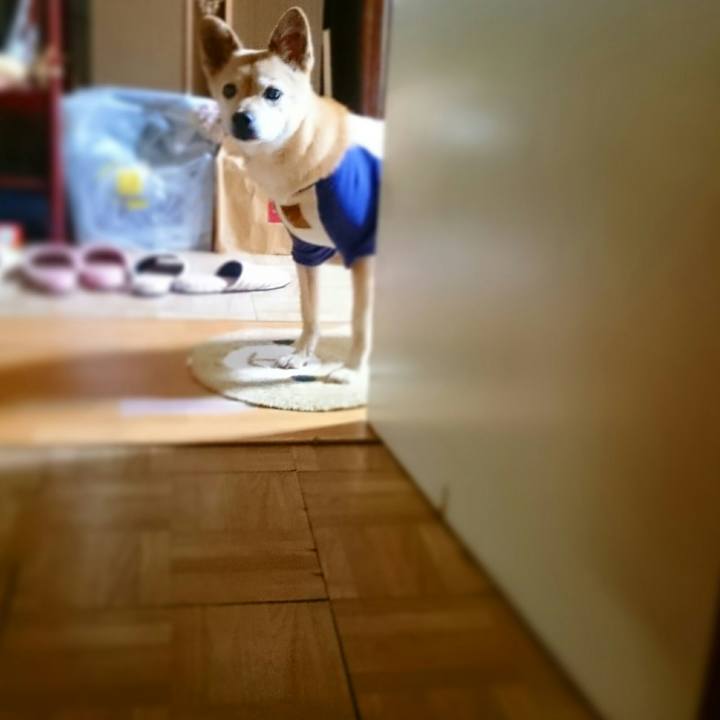 1c89b32f b9e0 46d8 904a f9d8a3ba0607