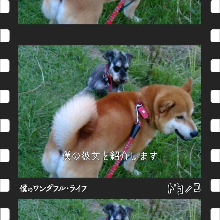 1c8ae8e3 23eb 4c73 8b07 3f77e4f0866f