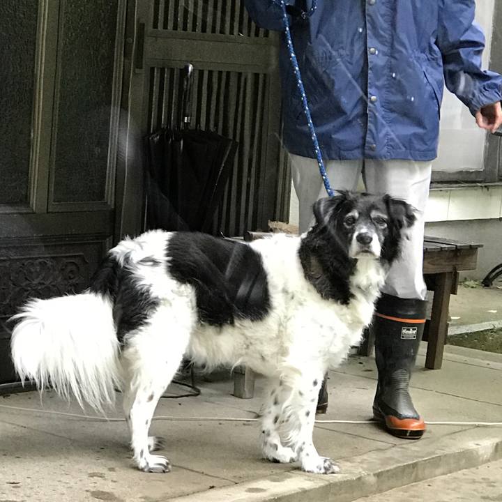 1c8b5b9d 04b7 49ff 8b87 59bec9cabd1b