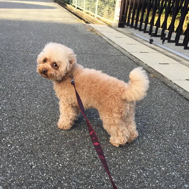 1c8c3c10 ffb2 40f8 8d21 6867244079d2