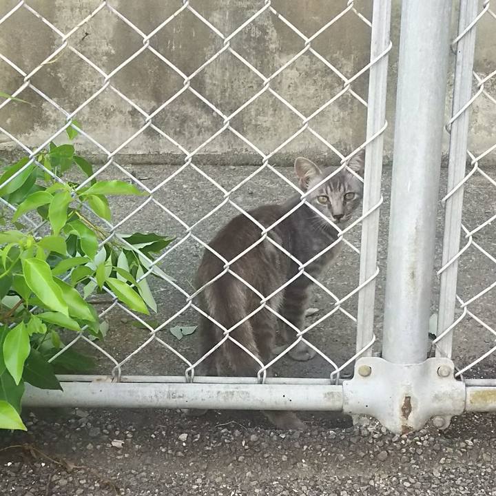 1c8c618d 5a52 49e9 9bb7 3d58f966a357