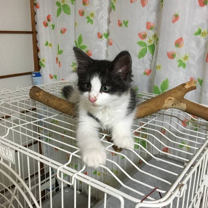 1c8cb9c0 7038 4a7e aabc 748452ca4913