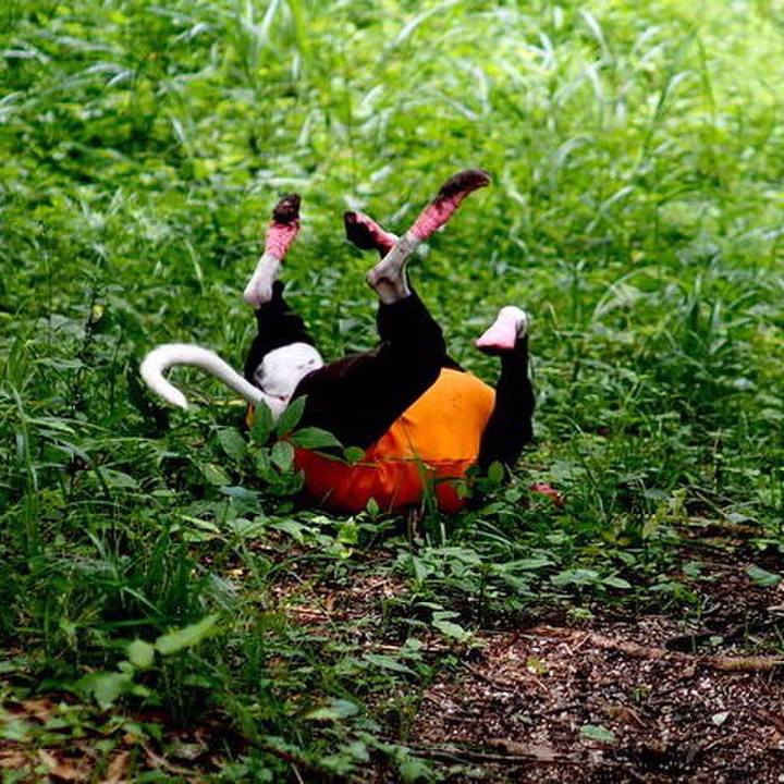 1c8cca38 9354 4ce9 b9d6 e47117f0bec7