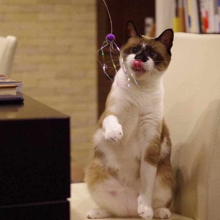 1c8cf509 a326 4942 ba6a 1b215ad5b021