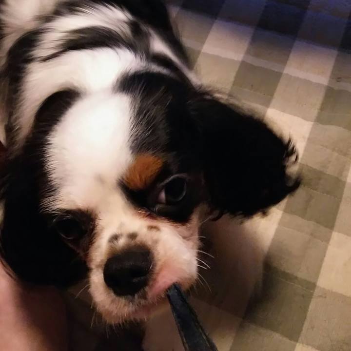 1c8d8e7c 6bd6 4521 84c7 b2d02adf5f09