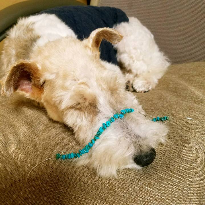 1c8deb22 37a0 46a7 a537 4fd9d4389197