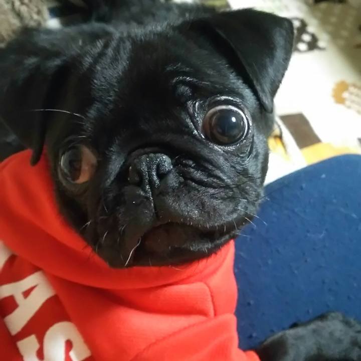 1c8e2ae3 cbbe 4553 a43e b06db79751ed