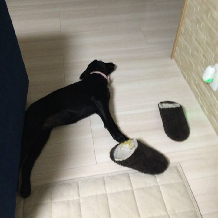 1c8e7cd1 f048 473c a8da a2a09671267b