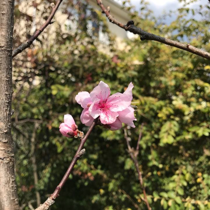 1c8ed9d2 a60d 495f aff7 1a12eae4f6dc