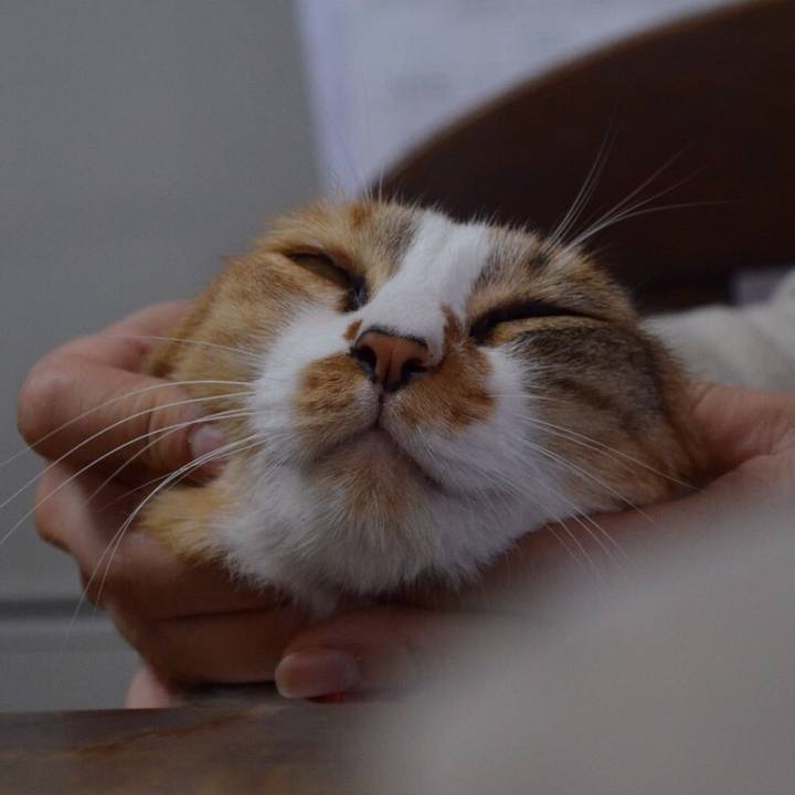 1c8f2edb 6dc1 4b82 ae1f 64b77d259c30