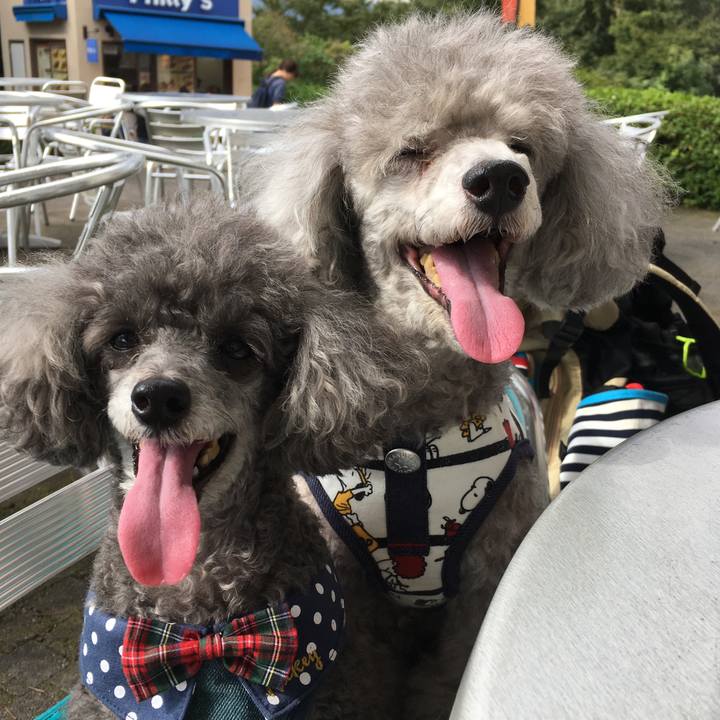 1c8f9332 74e0 493b 88f4 df0a0c71c17d