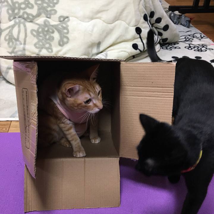 1c90147b d08d 44c6 b6fb aca8b921c66b