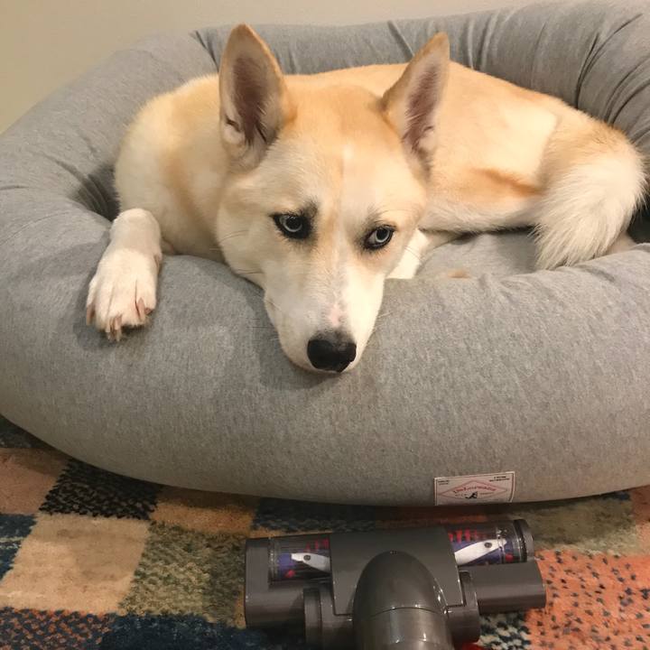 1c9020ca 65e1 4449 9bf1 e33127e8c5e8