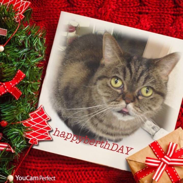 1c9032a4 971f 4b1e be7b e1143be24539