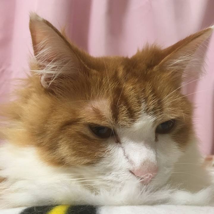 1c903e46 56ab 4df6 b2f2 7255ef8aec41