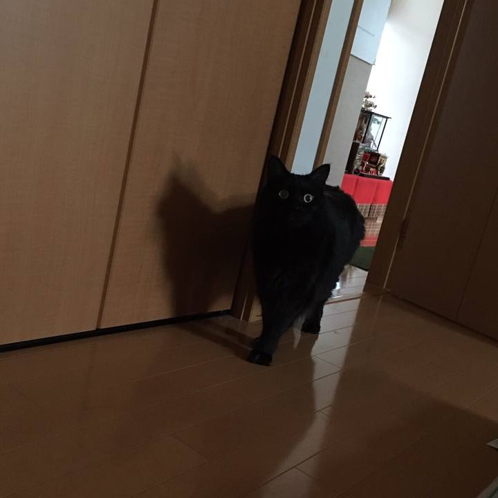 1c90901a 9086 468b 97c7 ebfa8ae6b4ef