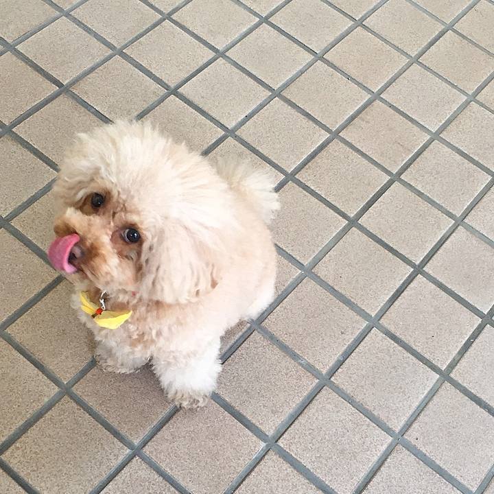 1c90f3fe 54fc 4683 af6f 72813f24c162