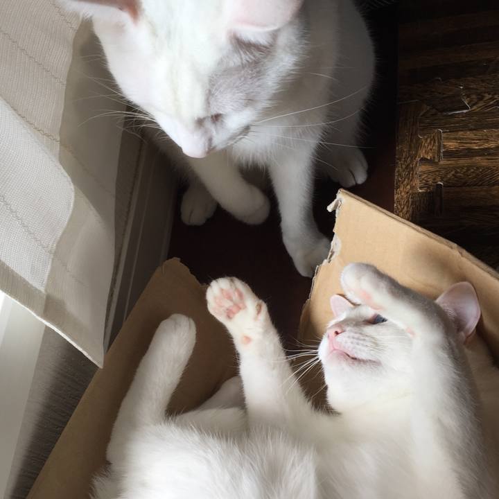 1c918327 b2c0 43fa 88b4 3e3bea470f39