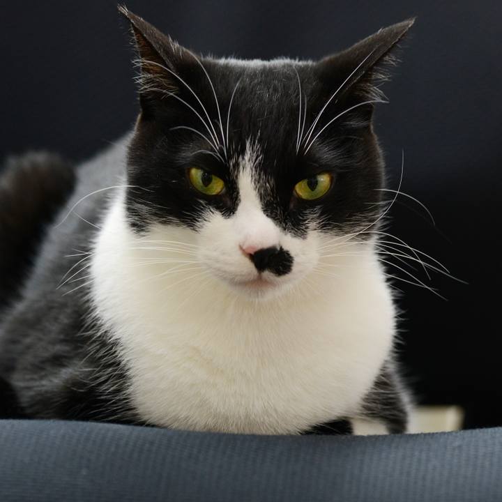 1c91a9f5 6bd5 4835 a5be 9dc50a9612c2