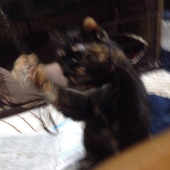 1c91eeef 70ff 4232 ba4d d5bef44c3127