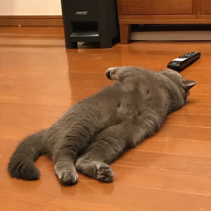 1c93beee d82e 4c90 af02 3c6f3a69de8e