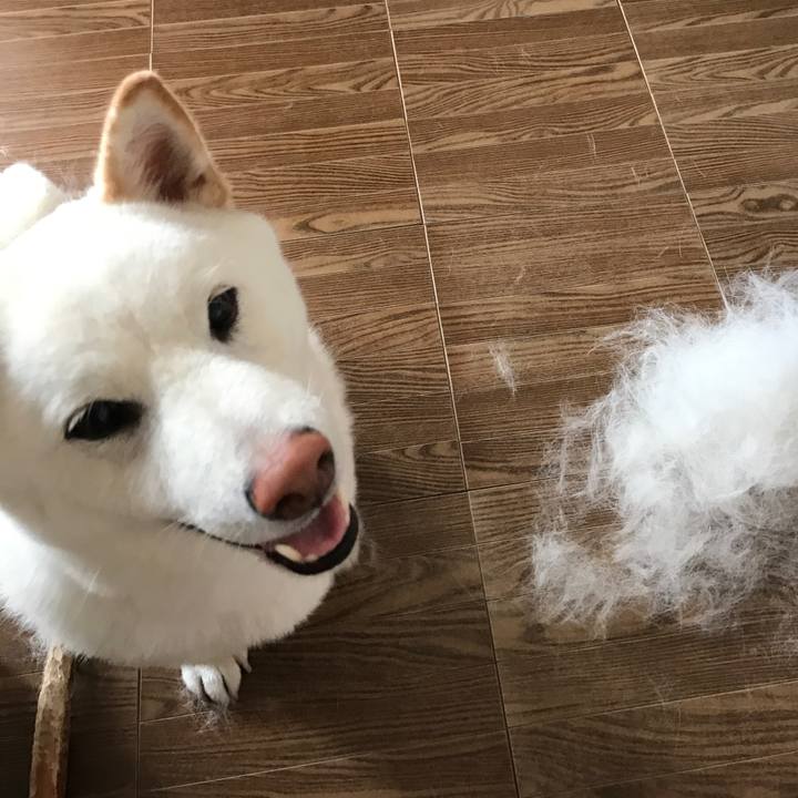 1c94155c 3f4c 4478 9710 d5be255bed40