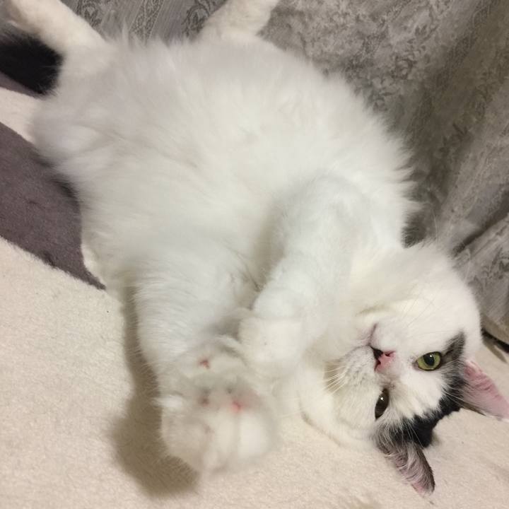 1c94b34c 4f98 4005 b31f 508f83b5b3dd