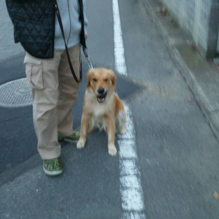 1c956efd 56a4 463c 8265 ae42d4e04497