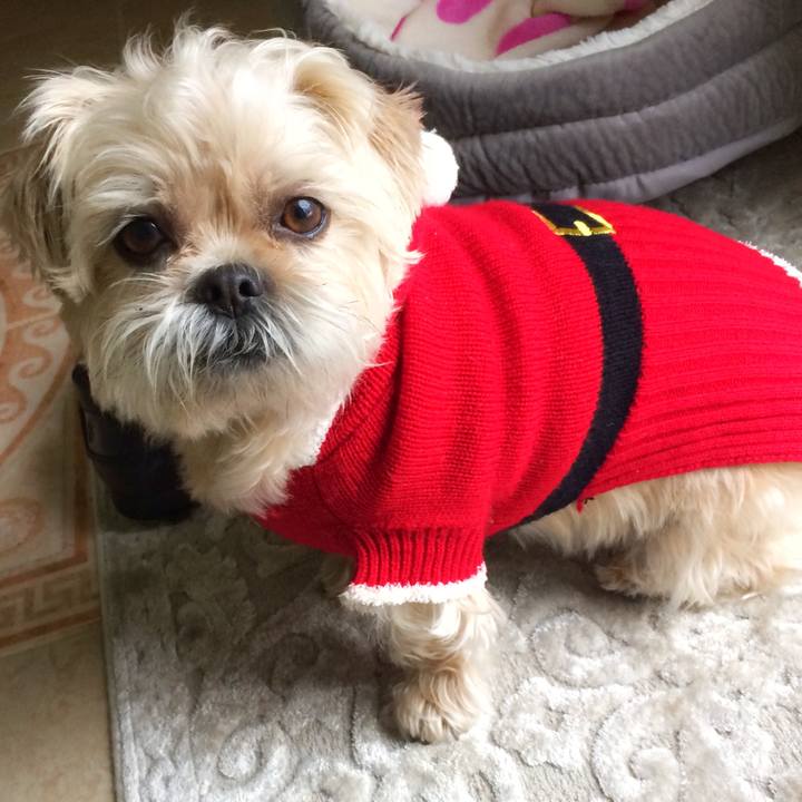 1c95dd67 7ed8 4a80 ae38 f948736a0dbb