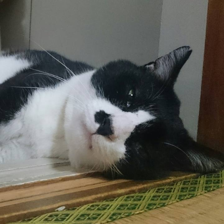 1c967435 3377 4397 975b fb866c92af73