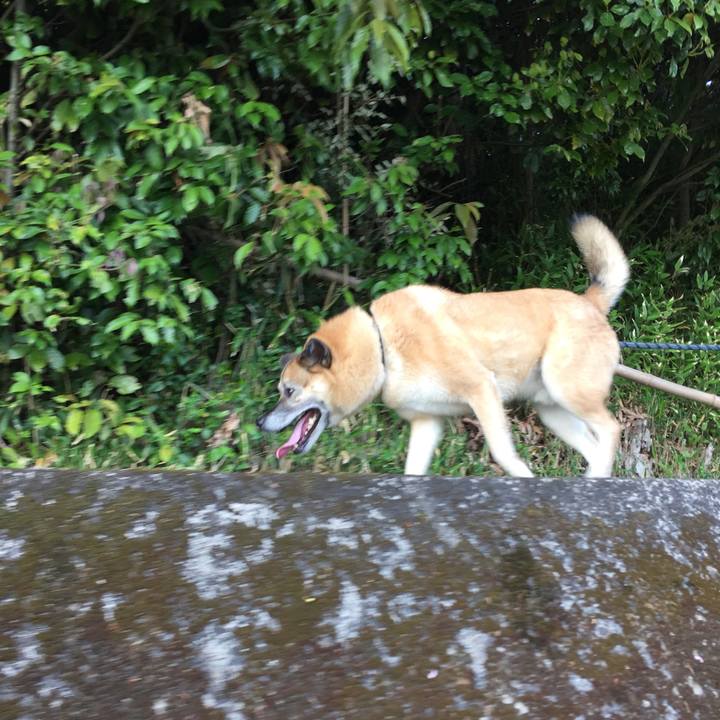 1c96bedf 05f3 4d5c a09c 7b501c1447e8