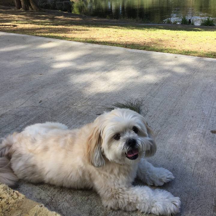 1c96e246 2b9b 464c b0d4 bebc09e4a4b1