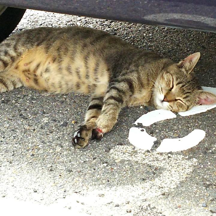 1c97426a 5850 4060 bcc0 15e5b7f209c7