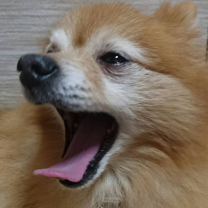 1c97cb8a c823 4bec b3d4 96f3e8b20987