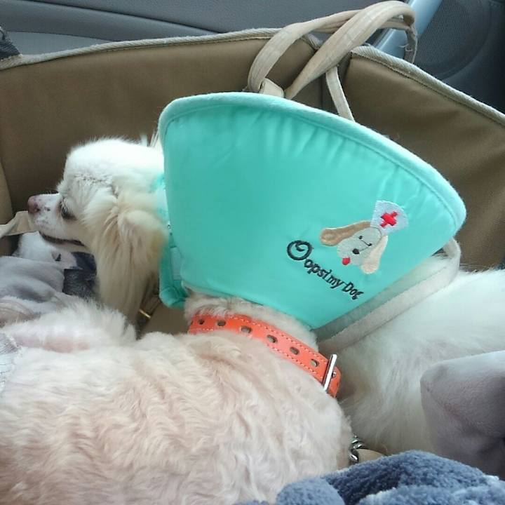 1c98ab2f 37b2 4c79 8597 cd271db80adf