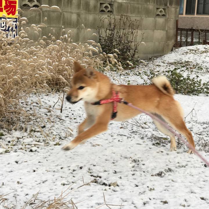 1c98c0a1 b890 4162 84ca a3bd81bd1a39