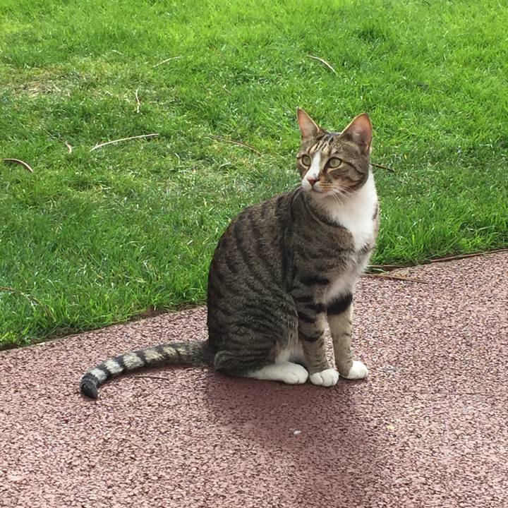 1c991686 a8be 412a b287 2dd2e593ab11