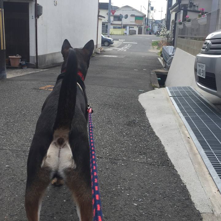 1c99431a 4d7d 4a53 9d67 35025b0c9235