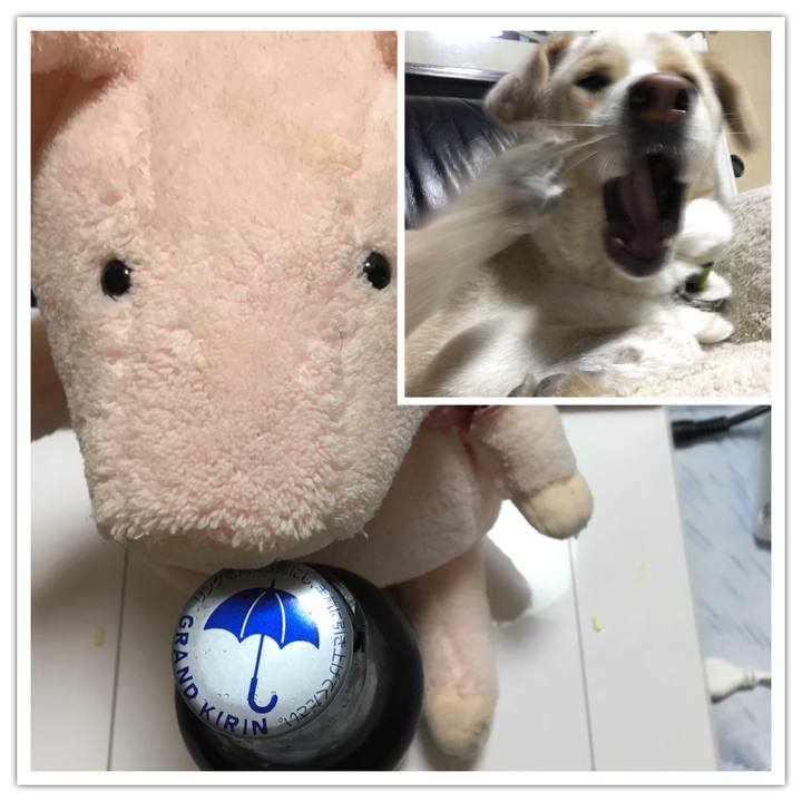 1c994de6 3a38 44fc 8b86 b1062b86acba